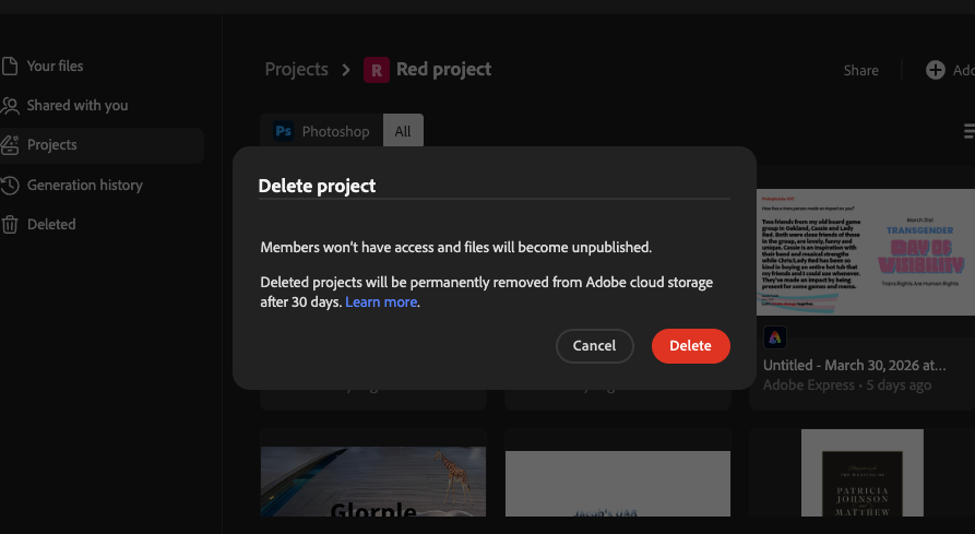 Delete-from-project confirmation dialog